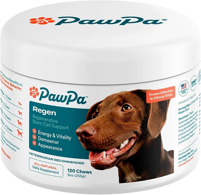 PawPa Regen, 120 Chews Veterinarian Recommended Regenerative Stem Cell Supplement for Senior Dogs, Supports Mobility, Appearance, Alertness, Hip & Joint, Delicious Beef Flavor Chews