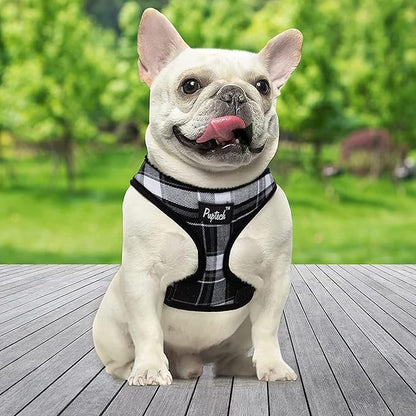 PUPTECK Soft Mesh Dog Harness and Leash Set Pet Puppy Cat Comfort Padded Vest No Pull Harnesses, Black, L