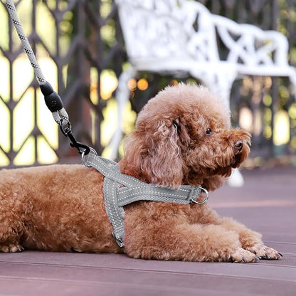Plutus Pet No Pull Dog Harness with Breathable Mesh Padded, Adjustable Reflective Escape Proof Dog Harness, Quick Fit Dog Vest Harness for Small Medium Large Dogs(XXS, Gray)