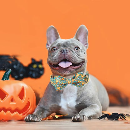 ARING PET Fall Dog Collar with Bow, Halloween Pumpkin Cute Pet Collars with Quick Release Buckle for Puppy Small Medium Large Girl Boy Dogs-M