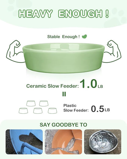TRUVIC Ceramic Slow Feeder Dog Bowls Small Breed, 0.6 Cup Slow Feeder Cat Bowls for Fast Eaters, Ceramic Dog Food Dish no Black Chin, Puzzle Bowl for Small Dogs and Cats, Green