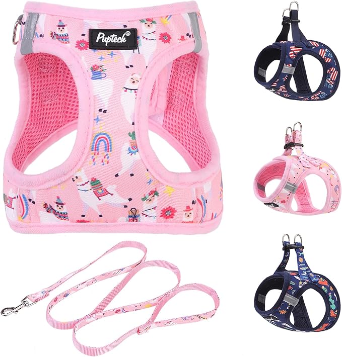 PUPTECK Dog Harness and Leash Set for Small Medium Dogs No Pull Step-in Soft Mesh Puppy Cat Vest Harnesses Reflective at Night, LightPink Print, M