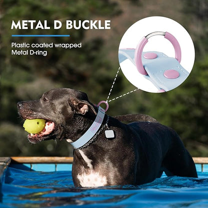 Wolfone Waterproof Dog Collar with Quick Release Buckle， Cute Adjustable Collar for Dogs Comfort Sturdy Durable Odor Proof Easy Care（Spun Sugar 28-36cm）