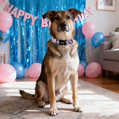 DOGWONG Plaid Dog Collar - Adjustabe Pink Blue Plaid Dog Collar - Cute Pet Checkered Dog Collars Puppy Gift for Small Medium Large Dogs