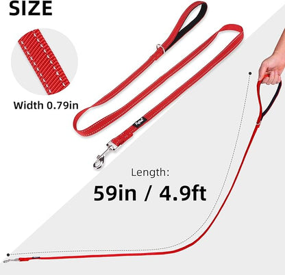 PUPTECK Reflective Dog Leash with Comfortable Padded Handle Durable Nylon Dog Lead for Small Medium and Large Dogs Cats Walking Running Training Outside, Red