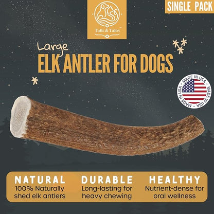 Tails & Tales Whole Elk Antler for Dogs Large 7-9" Long-Lasting & Durable Dog Bones for Aggressive Chewers or Teething Puppies No Additives, Premium Grade A, Naturally Shed in USA