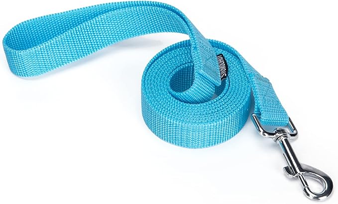 Siumouhoi Strong Durable Nylon Dog Training Leash, 1 Inch Wide Traction Rope, 6 ft Long, for Small and Medium Dog (Mint Blue, 6 Feet)