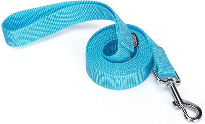 Siumouhoi Strong Durable Nylon Dog Training Leash, 1 Inch Wide Traction Rope, 6 ft Long, for Small and Medium Dog (Mint Blue, 6 Feet)