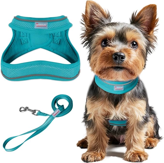 Dog Harness and Leash Set,Step in Small Sized Dog Harness,Soft Mesh,No-Chock,Reflective Adjustable,Secure with Hook & Loop Fastener,Puppy Vest for Small,Medium Dogs(Ocean Blue,L)