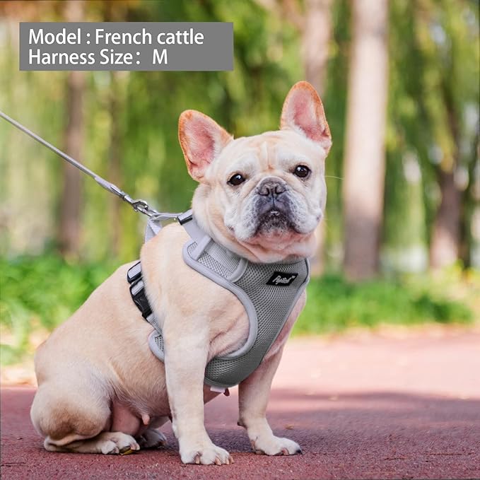 PUPTECK Small Dog Harness and Leash Set, No Pull Adjustable Puppy Cat Harness, Reflective Soft Mesh Pet Vest Small Sized, Grey, L