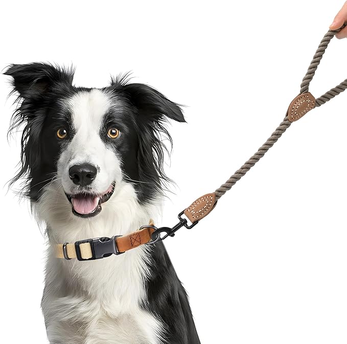 Mile High Life Short Dog Leash, Braided Cotton Rope Leashes with Leather Tip - Heavy Duty Metal Clasp, 18IN, 1/2" Thick - Wedding, Walking & Training Leash for Medium Large Dogs