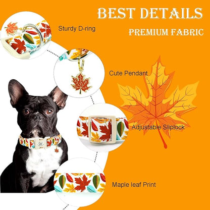 Elegant little tail Fall Dog Collar, Fall Maple Leaf Print Autumn Pet Collars Dog Cotton Soft Sturdy Puppy Collars Holiday Female Adjustable Collar for Small Dogs
