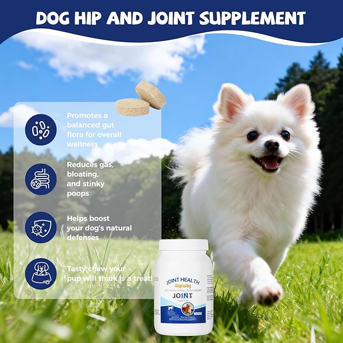 HAPWAG Hip and Joint Care Supplement with Glucosamine, Chondroitin, MSM for All Breeds and Ages Dogs - Chicken Flavor - 100 Chews