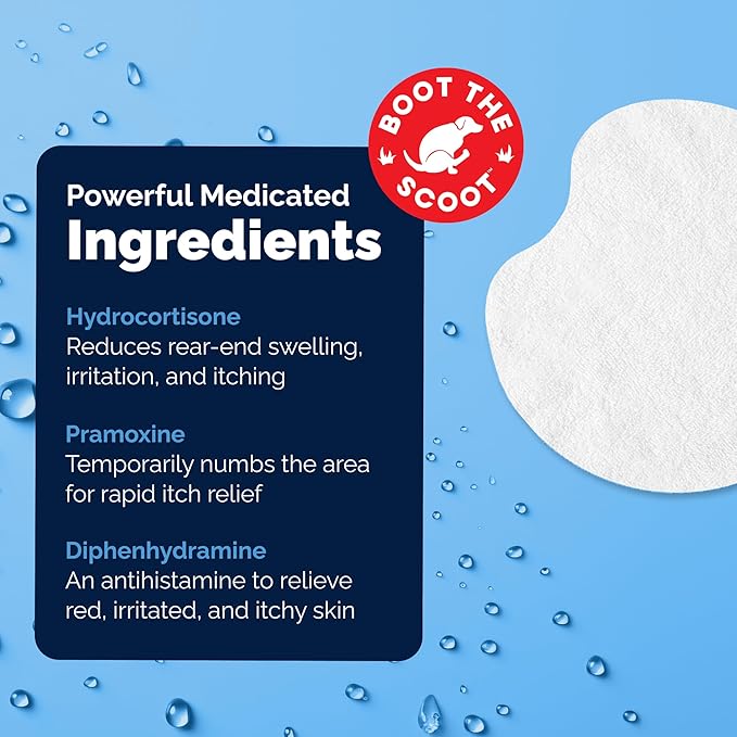 Vetnique Glandex Medicated Dog Butt Wipes or Spray for Dog Scooting - Topical Anti Itch Skin Relief for Soothing Inflamed Anal Glands in Dogs & Cats - Fast Acting Formula 50ct (50ct Wipes)