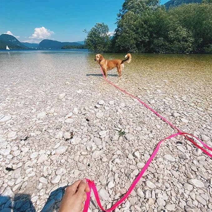 Waterproof Dog Training Leash 50FT 30FT 15FT 10FT 5FT Heavy Duty Recall Long Lead for Large Medium Small Dogs (50FT, Pink)