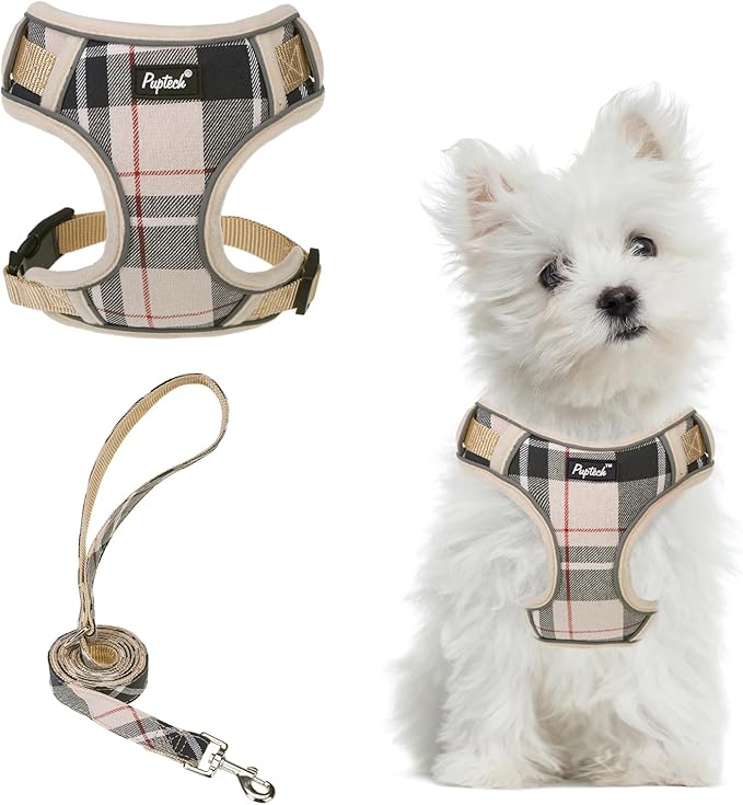 PUPTECK Small Dog Harness and Leash Set, No Pull Adjustable Puppy Cat Harness, Reflective Soft Mesh Pet Vest Small Sized, Beige, S