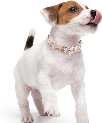 Faygarsle Floral Plaid Pattern Dog Collar, Spring Summer Design for Small Medium Large Dogs Multi-Color M