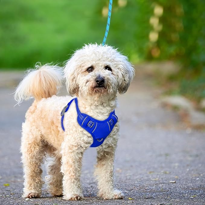 BARKBAY No Pull Dog Harness Large Reflective Dog Harness with Front Clip and Easy Control Handle for Walking Training Running with ID tag Pocket(Sapphire Blue,XS)