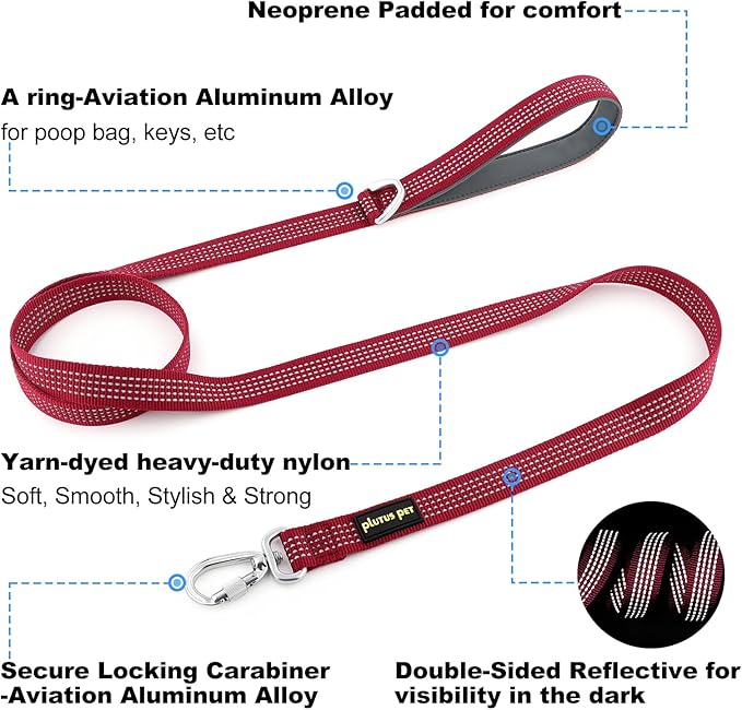 Plutus Pet Heavy Duty Dog Leash with Lockable Aluminum Carabiner, 4/6 Feet Long, Double-Sided Reflective Nylon, Padded Handle, for Puppy, Small, Medium and Large Dogs (Burgundy Red, 1" x 4')