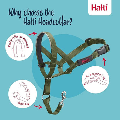 Halti Headcollar - Stop Your Dog Pulling on The Leash. Adjustable, Reflective and Lightweight, with Padded Nose Band. Dog Training Anti-Pull Collar for Small Dogs (Size 1, Forest Green)