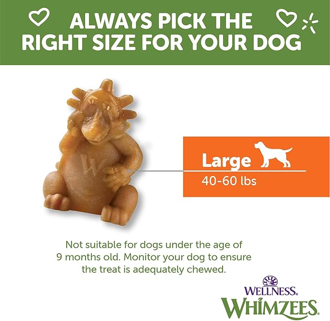 WHIMZEES Wellness Hedgehog Dog Dental Treats, Large Size, (6 Count)