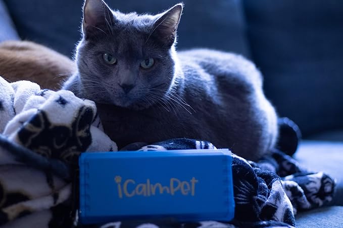 Cool Cat Gold Pak | iCalmPet Ruff 'n Ready Portable Speaker with 3-hr MicroSD Cat Calming Classical