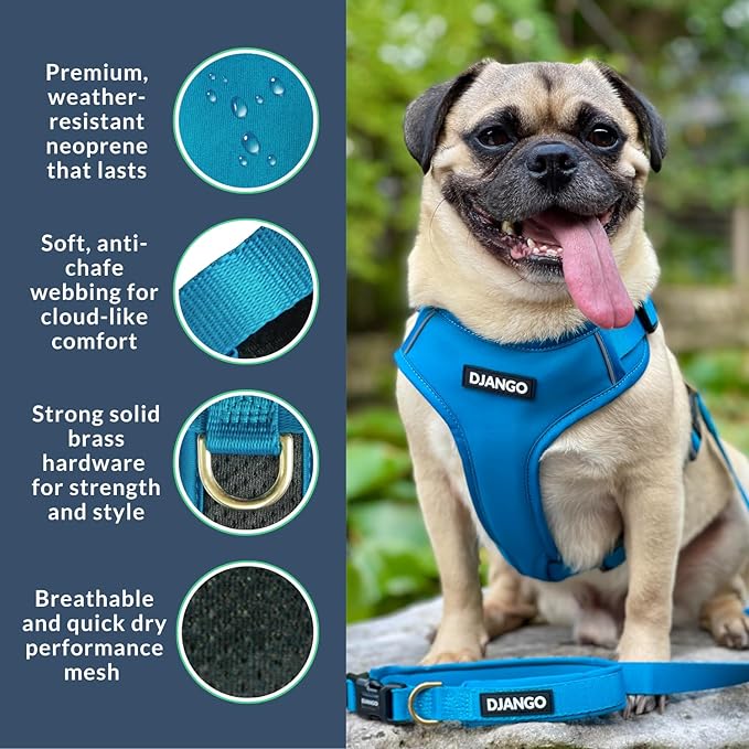 DJANGO Adventure Dog Harness - Stylish & Durable Large Dog Harness for Outdoor Adventures and Everyday Wear - Pacific Blue Neoprene Adjustable Harness for Dogs with Reflective Piping, Brass D-Ring
