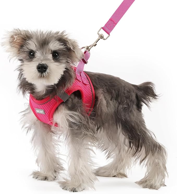 Bolux Dog Harness Small Sized and Leash Set, Step in Soft Light Puppy Vest, Breathable Mesh Pet Harness, Reflective for Safe Easy Walking.