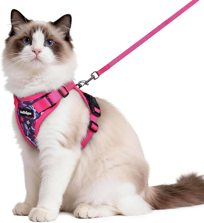 rabbitgoo Cat Harness and Leash for Walking, Escape Proof Soft Adjustable Vest Harnesses for Cats, Easy Control Breathable Reflective Strips Jacket, Coconut Fuchsia,M