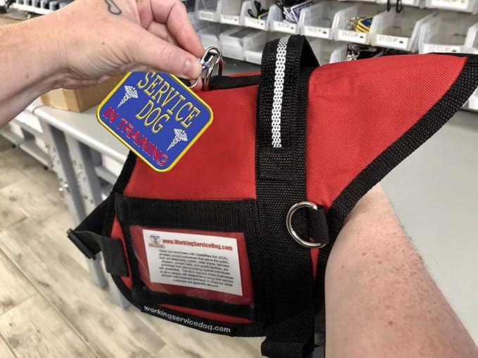 WORKINGSERVICEDOG.COM Service Dog in Training Clip-On ID Patch Tag - Includes 5 Federal Law Handout Cards - Clips to Vest, Harness, Collar, Leash, or Carrier