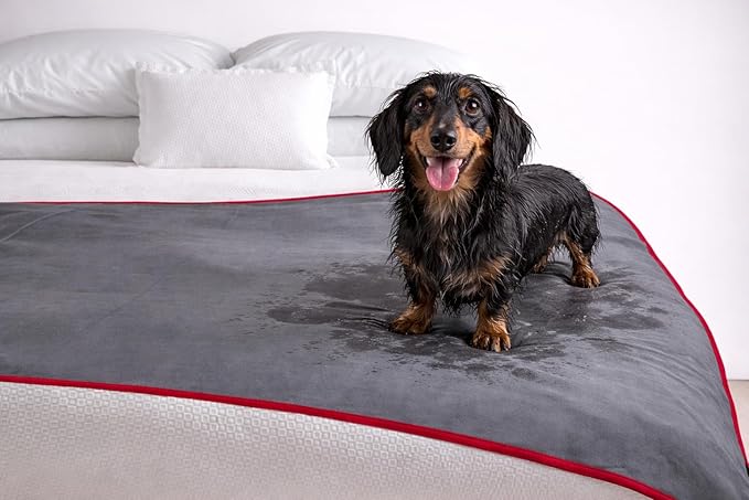 Premium Deluxe * 100% Waterproof Blanket Guarantees to Keep Your Bed Dry! Crinkle-Free Ultra-Soft Fleece Furniture Protector for People Kids Pets. EZ Wash/Dry Red/Grey Reversible 60x40