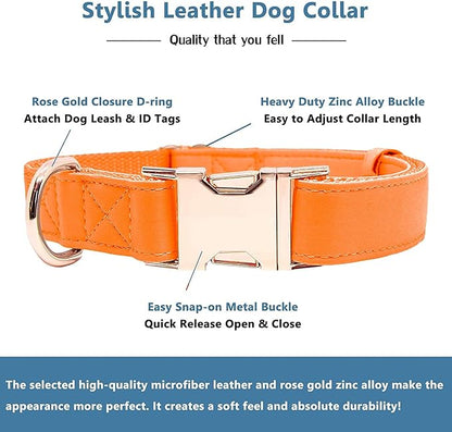 Soft Leather Dog Collar and Leash (6.6') Set - Stylish Rose Gold Heavy Duty Metal Buckle, 4 Adjustable Lengths Leash for Small Medium Large Dogs - Comfortable & Easy to Clean Orange M(13.8"-19.7")