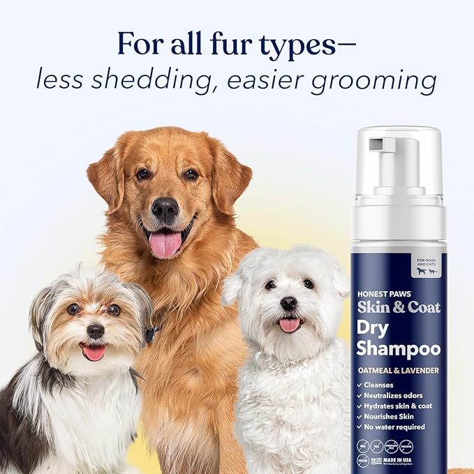 Honest Paws Dog Dry Shampoo - Waterless No Rinse Foaming Formula Reducing Itch Cleanse Hydrate Nourish Dry Skin and Smelly Coat Help Decrease Odor Shedding and Allergies - Oatmeal & Lavender - 6.3 oz