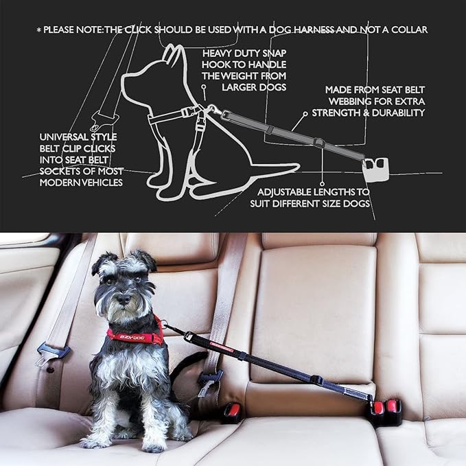 EzyDog Click – Dog Seat Belt for Car, Dog Harness Adjustable Seatbelt Attachment – Heavy Duty Nylon Seat Belt Webbing (17.5in - 26in)