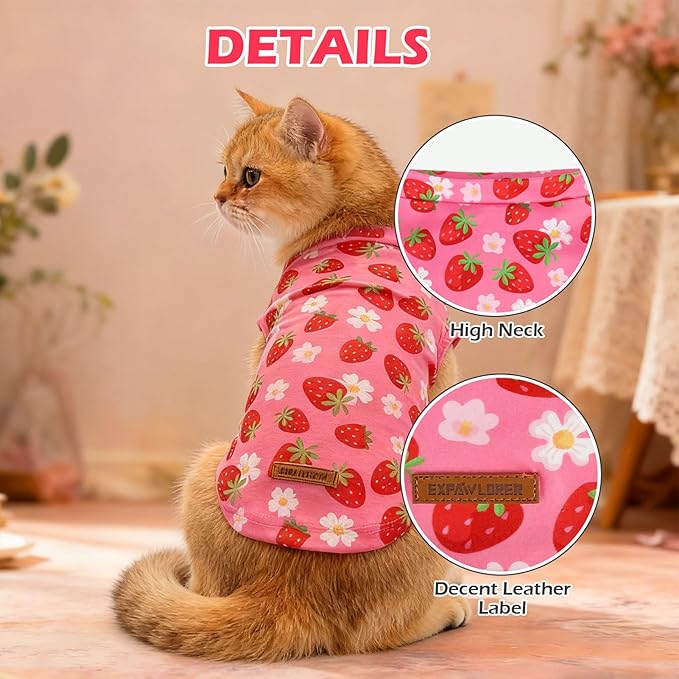 EXPAWLORER Soft Cat Sweater - Sweaters for Cats Only Warm Kitten Clothes, Fall and Winter Pet Coat Pullover Design, Fleece Sweatshirt Clothing Also for Puppy Small Dogs, Strawberry M