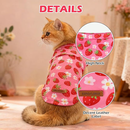 EXPAWLORER Soft Cat Sweater - Sweaters for Cats Only Warm Kitten Clothes, Fall and Winter Pet Coat Pullover Design, Fleece Sweatshirt Clothing Also for Puppy Small Dogs, Strawberry M
