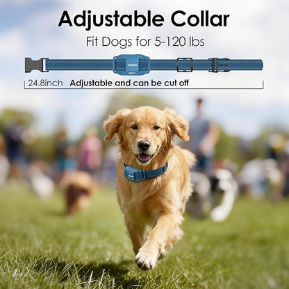 Jugbow Dog Training Collar for 3 Dogs- 4200FT Training Collars with Remote for 5-120 lb Large Medium Small Dogs, Rechargeable Waterproof IPX8 E Collars for Dogs