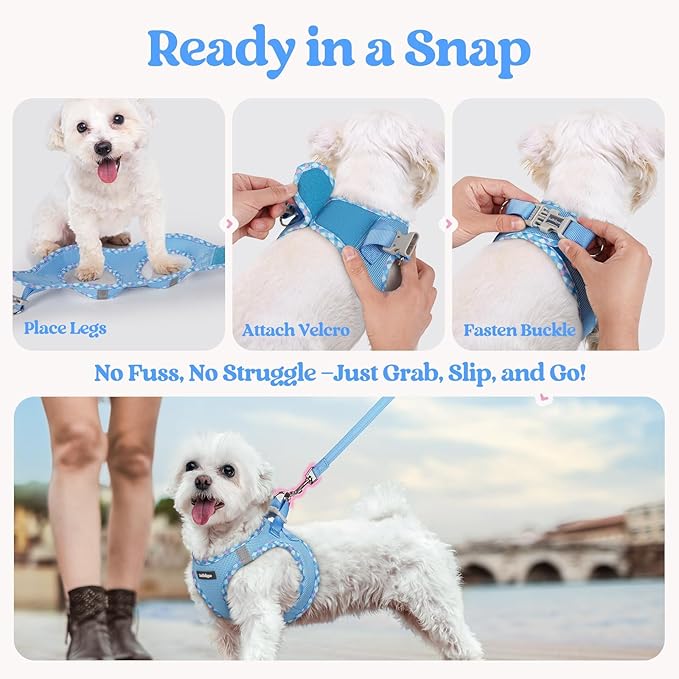 rabbitgoo Dog Harness Small Medium Sized and Leash Set, Step in Soft Light Puppy Vest, Breathable Mesh Pet Harness, Reflective for Safe Easy Walking, Blue & Plaid Trim L