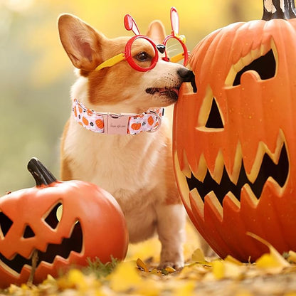 Unique style paws Dog Collar Metal Buckle Collar for Autumn Winter Christmas for Small Medium Large Boys Girls Dogs