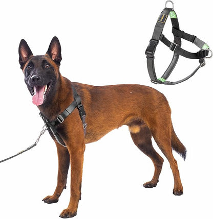 Freedom No Pull Dog Harness for Large Dogs, Easy Walker, Front Clip, Anti Pull with Two Stainless D-Rings, Comfortable, Sewn-in Instructions Tags for Easy Use (Black, XXL)