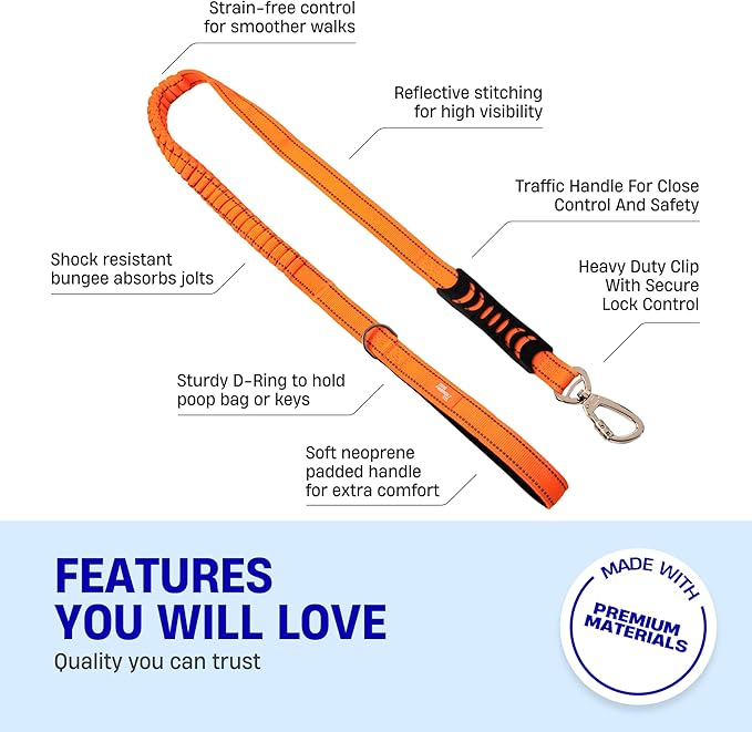 DF Co. Bungee Dog Leash | Strain Free & Shock Resistant for Control | Neoprene Padded Handle, Heavy-Duty Carabiner Clip, and D-Ring | Hi-Vis Orange, Size Small