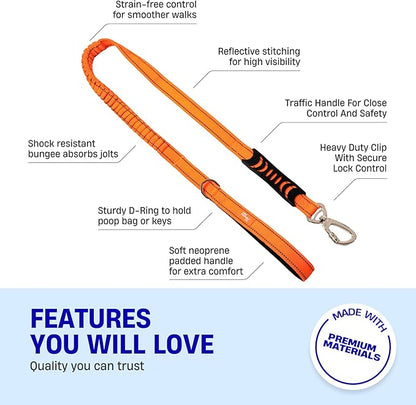 DF Co. Bungee Dog Leash | Strain Free & Shock Resistant for Control | Neoprene Padded Handle, Heavy-Duty Carabiner Clip, and D-Ring | Hi-Vis Orange, Size Small