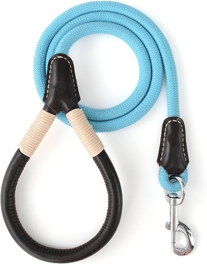 Mile High Life Leather Handle Dog Leash, 6 FT/5 FT/4 FT Rope Leash for Small Medium Large Dogs (Blue, 4FT)
