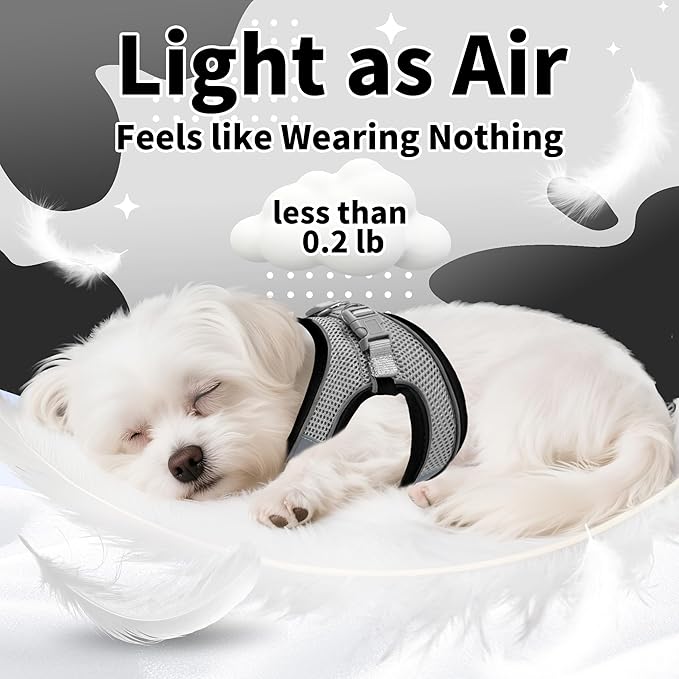 AIITLE Dog Harness, No-Pull Cat Harness with a Leash, Adjustable Reflective Dog Vest, Cat Harness Escape Proof, Outdoor Walking, Running,Training for Extra Small Dogs and House Cats Black XXXS