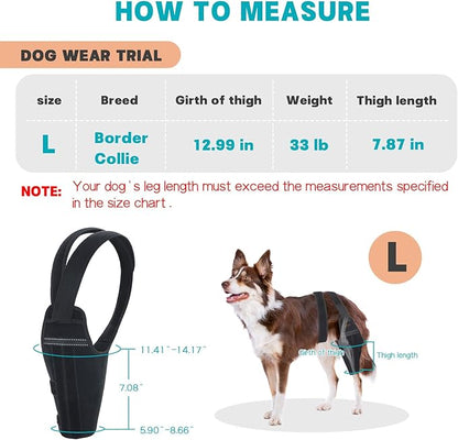 Dog Knee Brace for Torn ACL Hind Leg–Adjustable Support Dog Leg Brace for Back Leg with 2 Stabilizers, Hip Support to Reduces Pain Luxating Patella , Ligament Injuries, CCL (Black, Left Leg, L)