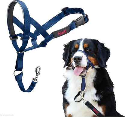 Halti Headcollar - Stop Your Dog Pulling on The Leash. Adjustable, Reflective and Lightweight, with Padded Nose Band. Dog Training Anti-Pull Collar for Large Dogs (Size 4, Cobalt Blue)