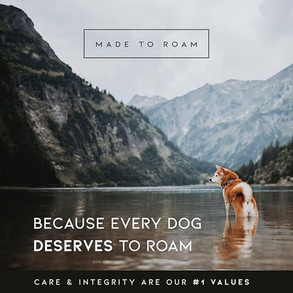 Made to ROAM Premium Explorer Control Collar - Adjustable Heavy Duty Nylon Dog Collar with Quick-Release Metal Buckle and Handle (Michigan Autumn, Control Size 5)