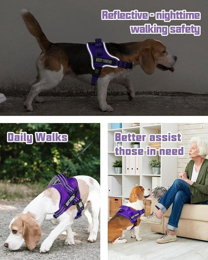 AUROTH Dog Harness and Leash Set, Soft Padded No Pull Dog Harness with 5.25FT Dog Leash, No Choke, Easy On Pet Vest, Adjustable Reflective Dog Vest Small Sized Dog, Easy Walking and Training