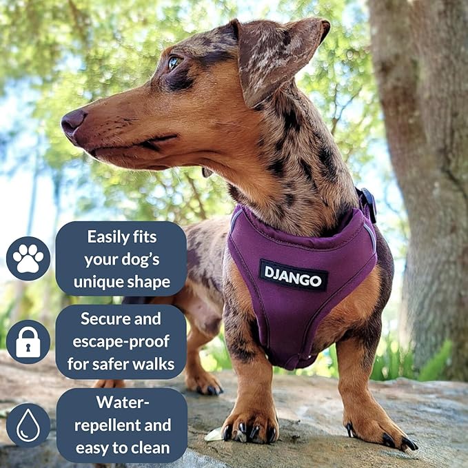 DJANGO Adventure Dog Harness - Stylish, and Durable Large Dog Harness for Outdoor Adventures and Everyday Wear - Plum Purple Neoprene Adjustable Harness for Dogs with Reflective Piping, Brass D-Ring