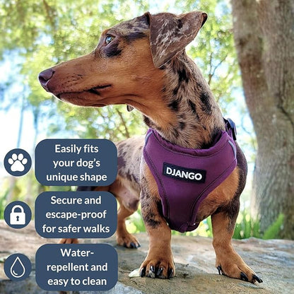 DJANGO Adventure Dog Harness - Stylish, and Durable Large Dog Harness for Outdoor Adventures and Everyday Wear - Plum Purple Neoprene Adjustable Harness for Dogs with Reflective Piping, Brass D-Ring
